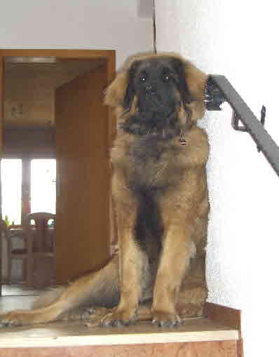 Rufus Ben